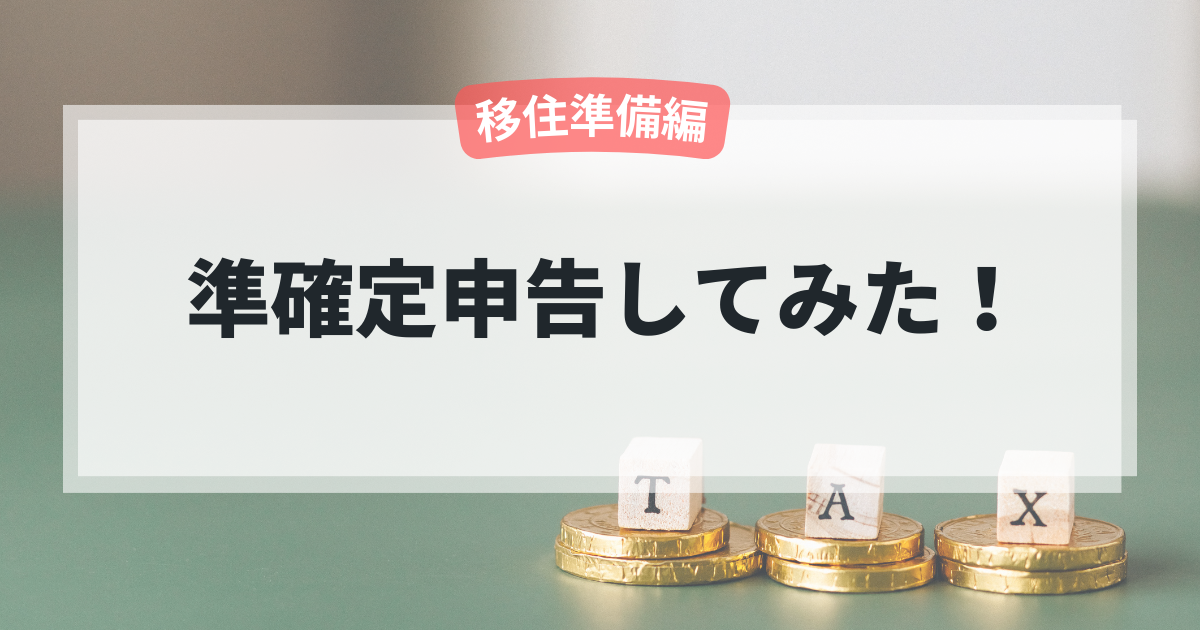 準確定申告してみた